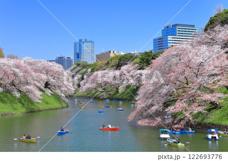 【東京都】快晴の千鳥ヶ淵（皇居）と満開の桜 122693776