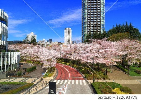 【東京都】満開の桜並木と東京ミッドタウンガーデン 122693779