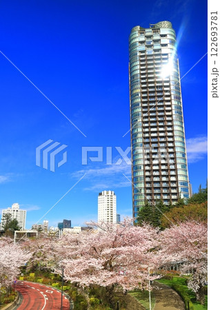 【東京都】満開の桜並木と東京ミッドタウンガーデン 【東京都】満開の桜並木と東京ミッドタウンガーデン 122693781