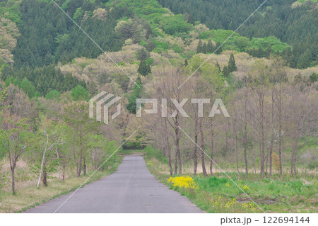 淡い若葉色に包まれた湿原と道路（霧ケ谷湿原：広島県山県郡北広島町） 122694144