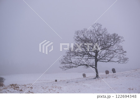 雪降る阿蘇の風景 122694348