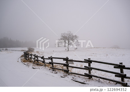 雪降る阿蘇の風景 雪降る阿蘇の風景 122694352