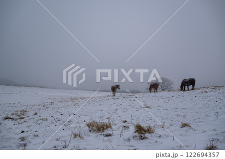 雪降る阿蘇の風景 122694357