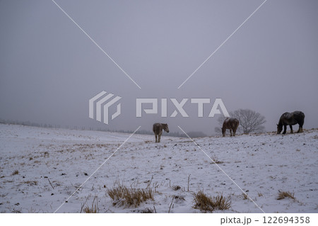 雪降る阿蘇の風景 雪降る阿蘇の風景 122694358