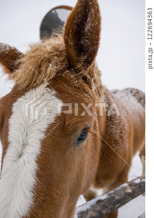 雪降る阿蘇の風景 122694363