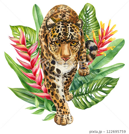 Fierce Jaguar in the Wild with Exotic Leaves, Colorful Tropical Flowers. Hand-Painted Watercolor Wildlife Illustration Fierce Jaguar in the Wild with Exotic Leaves, Colorful Tropical Flowers. Hand-Painted Watercolor Wildlife Illustration 122695759