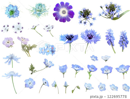 春の花のイラスト素材セット(青) 春の花のイラスト素材セット(青) 122695778