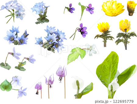 春の花のイラスト素材セット(野草2) 春の花のイラスト素材セット(野草2) 122695779
