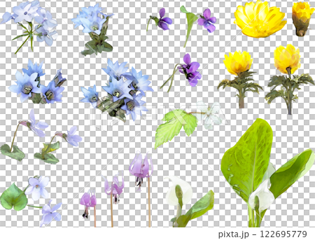 春の花のイラスト素材セット(野草2) 春の花のイラスト素材セット(野草2) 122695779