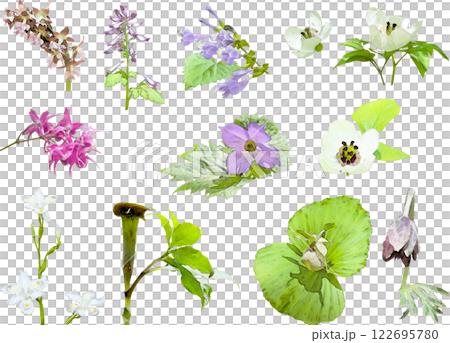 春の花のイラスト素材セット（野草3） 122695780