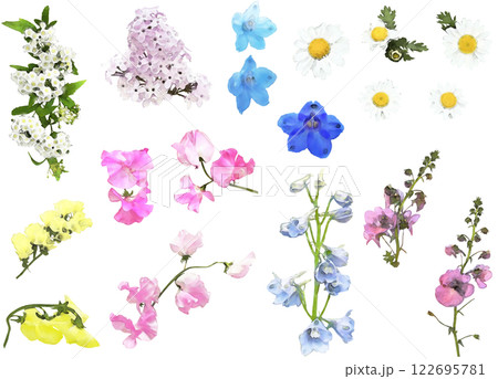 春の花のイラスト素材セット1 122695781