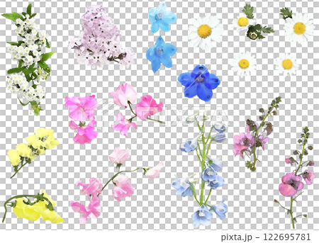 春季花卉插圖素材集1 122695781