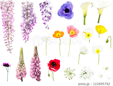 春の花のイラスト素材セット2 春の花のイラスト素材セット2 122695782