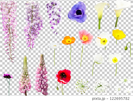 Spring flower illustration material set 2 122695782