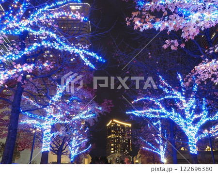 神奈川県　グランモール公園のイルミネーションとザ・タワー横浜北仲　12月 122696380