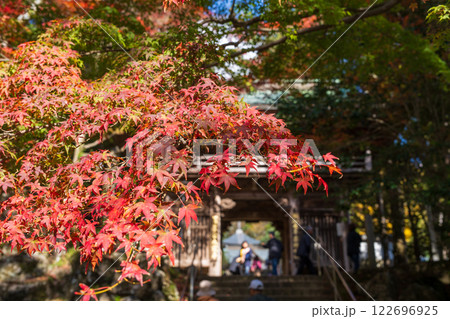 【第八十八番札所】秋の大窪寺 山門近くの紅葉【四国八十八箇所】 【第八十八番札所】秋の大窪寺 山門近くの紅葉【四国八十八箇所】 122696925
