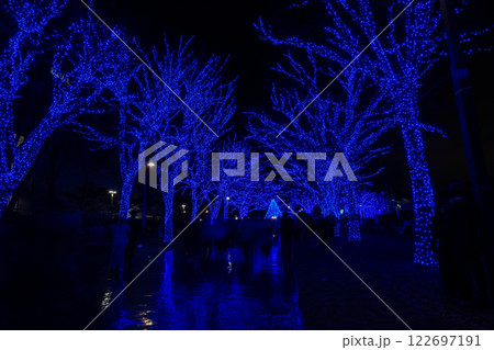 青いイルミネーション 122697191