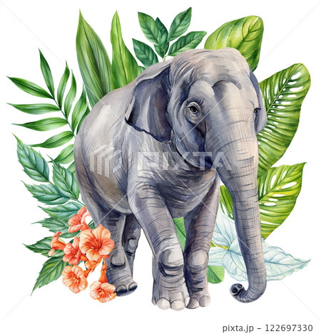 Baby Elephant Walking Through Tropical Flora Beautiful Hand Painted Watercolor Safari Animal for Posters, Prints, Decor 122697330