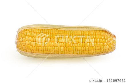 cob corn fresh sweetcorn boiled corn cooking vegetable healthy on white background. cob corn fresh sweetcorn boiled corn cooking vegetable healthy on white background. 122697681