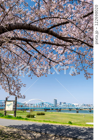 桜咲く 春の淀川河川公園 長柄地区 122698020