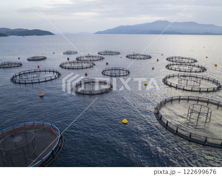 Aerial shot of Aquaculture sea fish Floating farming cages, offshore marine seafood industry in Adriatic Sea. Salmon. Aerial shot of Aquaculture sea fish Floating farming cages, offshore marine seafood industry in Adriatic Sea. Salmon. 122699676
