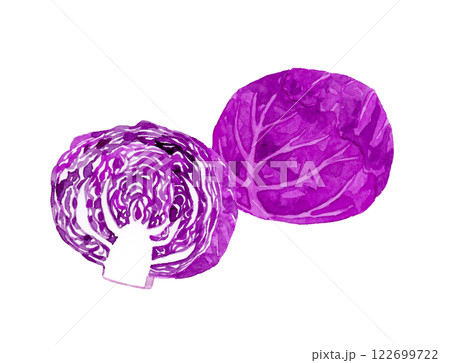 半分にカットした赤キャベツ(紫キャベツ) フレッシュな野菜の手描き水彩イラスト素材 半分にカットした赤キャベツ(紫キャベツ) フレッシュな野菜の手描き水彩イラスト素材 122699722