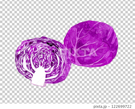 Red cabbage (purple cabbage) cut in half. Hand-drawn watercolor illustration of fresh vegetables. 122699722