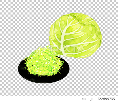 切絲高麗菜-手繪水彩插圖的新鮮蔬菜 122699735