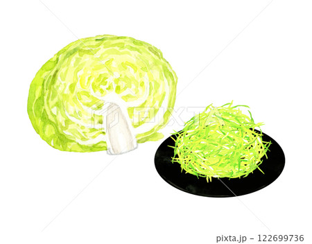 キャベツの千切り　フレッシュな野菜の手描き水彩イラスト素材 122699736