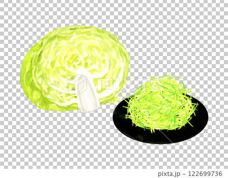 切絲高麗菜-手繪水彩插圖的新鮮蔬菜 122699736