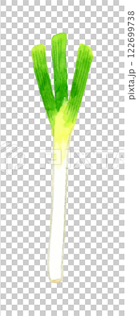 長ねぎ フレッシュな野菜の手描き水彩イラスト素材 長ねぎ フレッシュな野菜の手描き水彩イラスト素材 122699738