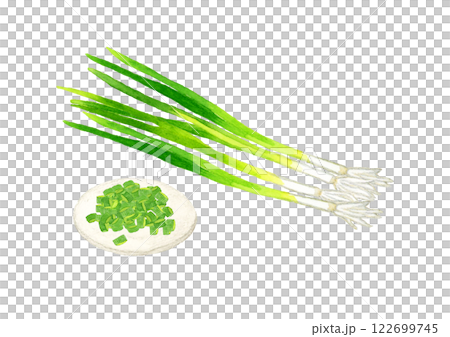 小口ねぎ(万能ねぎ・小ねぎ・細ねぎ) フレッシュな野菜の手描き水彩イラスト素材 小口ねぎ(万能ねぎ・小ねぎ・細ねぎ) フレッシュな野菜の手描き水彩イラスト素材 122699745