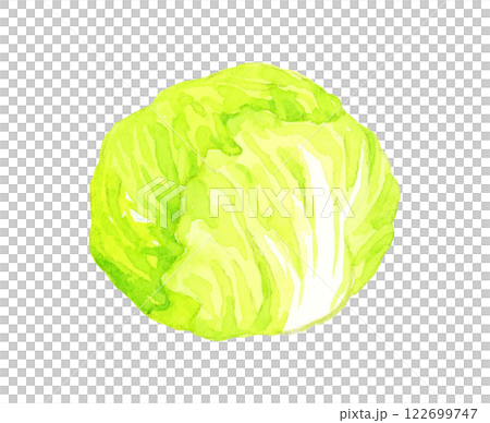 Lettuce - fresh vegetable hand-drawn watercolor illustration Lettuce - fresh vegetable hand-drawn watercolor illustration 122699747