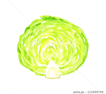 半分にカットしたレタス フレッシュな野菜の手描き水彩イラスト素材 半分にカットしたレタス フレッシュな野菜の手描き水彩イラスト素材 122699748