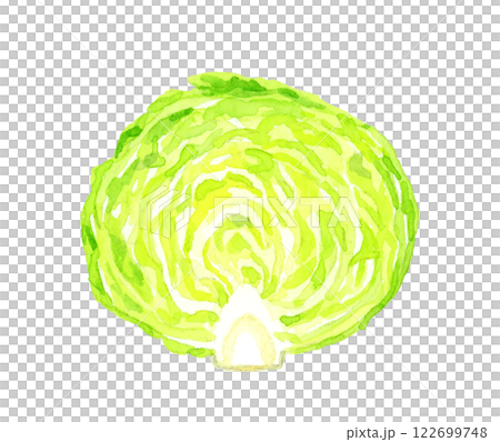 半分にカットしたレタス フレッシュな野菜の手描き水彩イラスト素材 半分にカットしたレタス フレッシュな野菜の手描き水彩イラスト素材 122699748