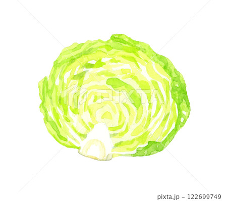 半分にカットしたレタス フレッシュな野菜の手描き水彩イラスト素材 半分にカットしたレタス フレッシュな野菜の手描き水彩イラスト素材 122699749