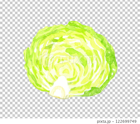 生菜切成兩半-新鮮蔬菜手繪水彩插圖 122699749