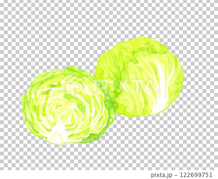 生菜切成兩半-新鮮蔬菜手繪水彩插圖 122699751