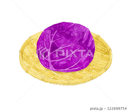 竹ざるに乗った赤キャベツ（紫キャベツ）　フレッシュな野菜の手描き水彩イラスト素材 122699754
