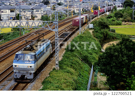 2006年　東海道本線を走るEF66101コンテナ貨物列車 122700521
