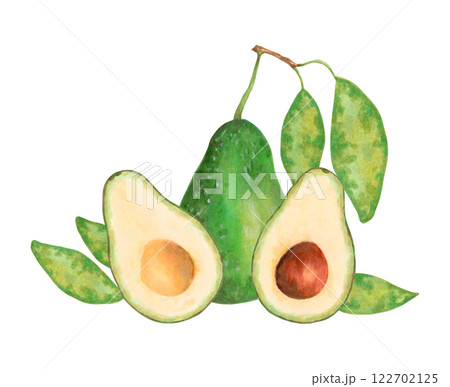 Whole, half and slice avocado with leaves. Fruit composition. Watercolor and marker illustration. Hand drawn isolated art. Botanical vegetable sketch for food packaging or recipes. 122702125