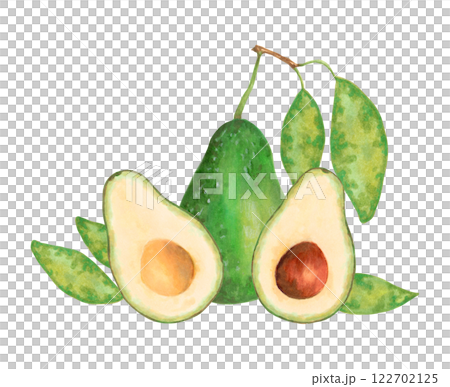 Whole, half and slice avocado with leaves. Fruit composition. Watercolor and marker illustration. Hand drawn isolated art. Botanical vegetable sketch for food packaging or recipes. 122702125