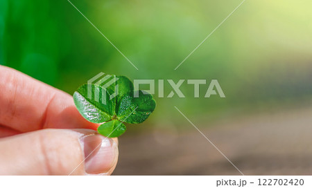 a child's hand holds a plucked green four-leaf clover, a symbol of good luck, with copy space 122702420