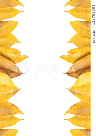 Cutout of yellow leaves with insect holes and dark spots on white background with clipping paths. 122702601