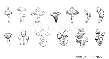 Mushroom sketch doodle drawing, fantasy forest line plant. Set botanical hand drawn mushrooms. Tattoo sign Linear. 122702798