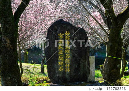 石碑　美しい梅の花が開花する季節に映える谷尾崎梅林公園(熊本市) 122702828
