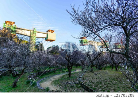 (梅林公園から観える風景)　美しい梅の花が開花する季節に映える谷尾崎梅林公園(熊本市) 122703209