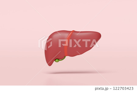3d realistic human liver isolated on pink...のイラスト素材 [122703423] - PIXTA