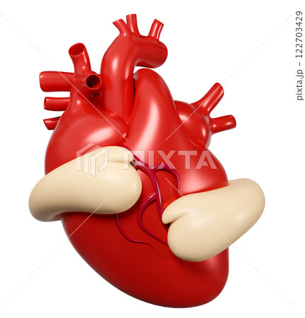 3d hands hugging realistic human heart isolated. 3d illustration render 122703429