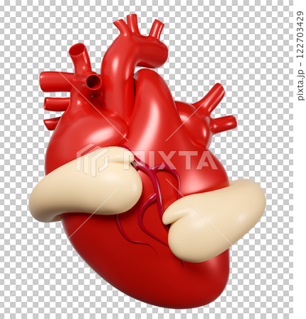 3d hands hugging realistic human heart isolated. 3d illustration render 122703429